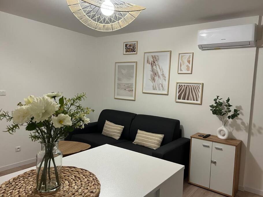 *La Pampa, Studio, Parking, Clim, Hopitaux/Fac* Montpellier Extérieur photo